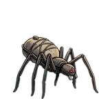 Wdowa Spod Maski